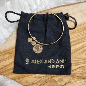 Alex and Ani Las Vegas Bracelet